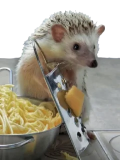 👨‍🍳