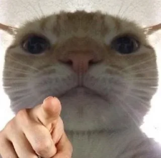 🫵