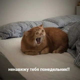😫