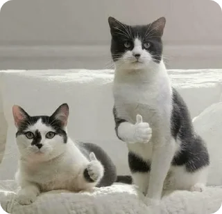 👍