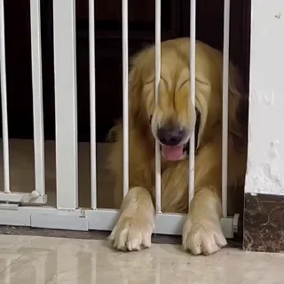 😝