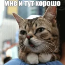 😊