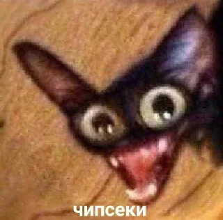 😋