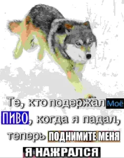 🐺