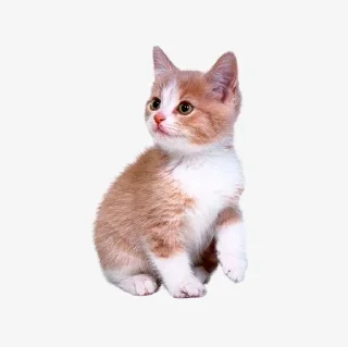 🥰