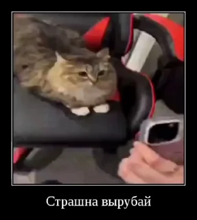 😨