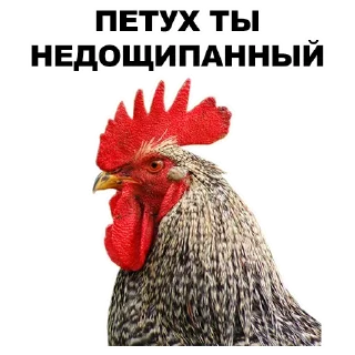 🖕