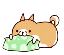 🐶