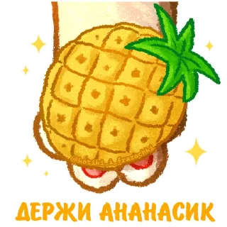 🍍