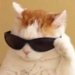 😎