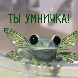 ✊