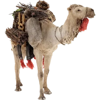 🐪