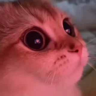 😍