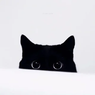 😳