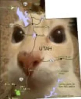 😳