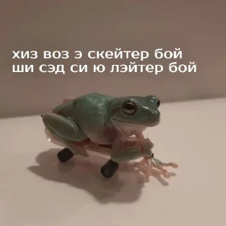 🛹