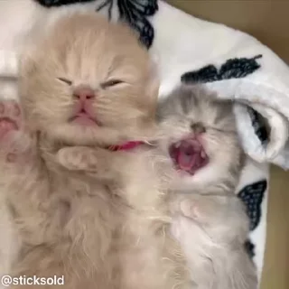❤️