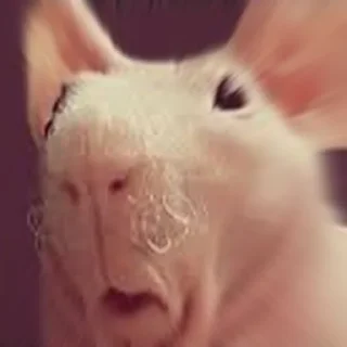 😦