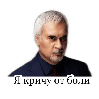 Меладзе 2