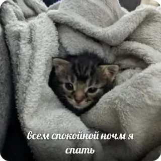 😴