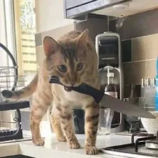 😡