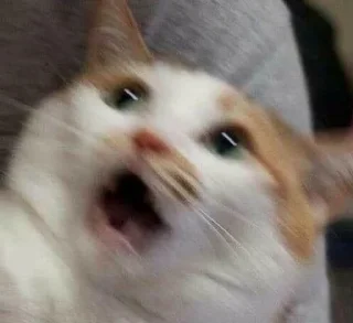 😦