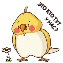 🌻