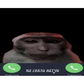 🐵