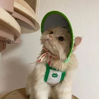 🍐