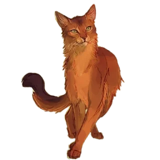 🐱