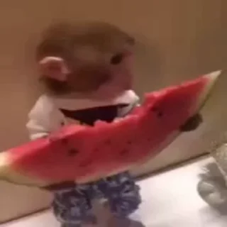 🍉