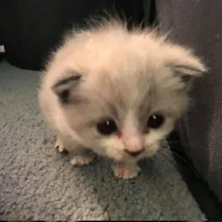 🙁