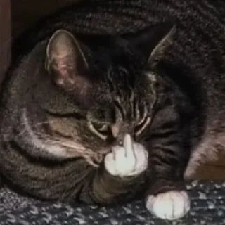 🤯