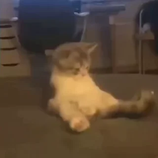 😳