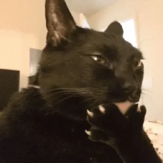 😏