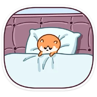 🛌