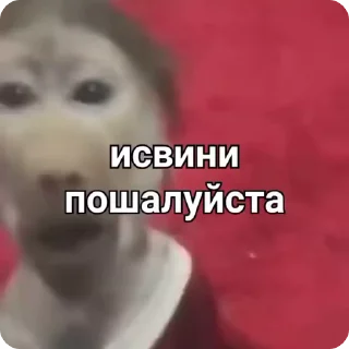 🥺