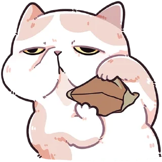 👛