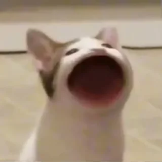 😲