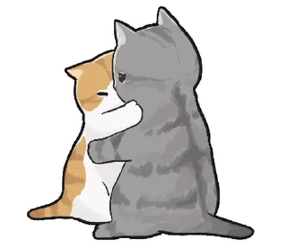 🐱