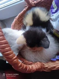 😒