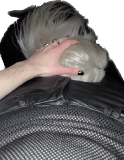 ✨