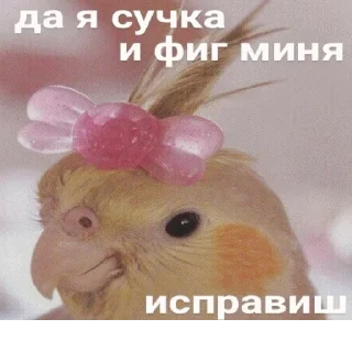💃