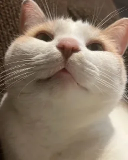 🙂