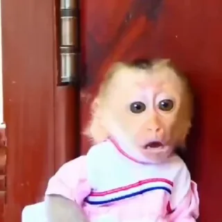 😱