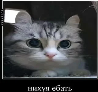 🤨