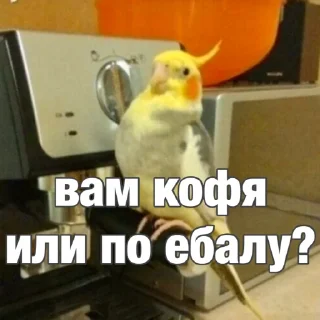 😉