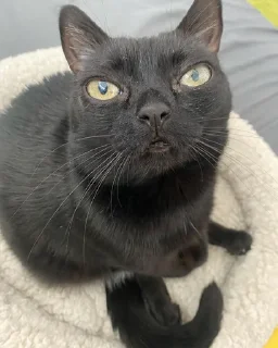 😠