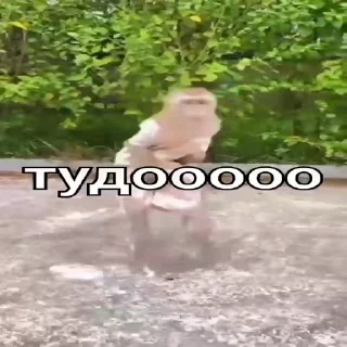Бибизянки без мата