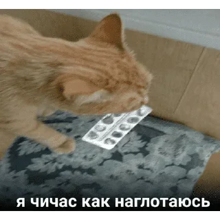 😺